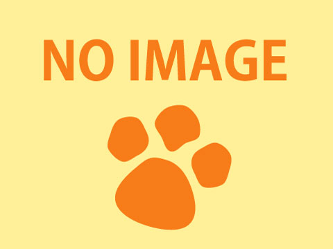 文化協会写真部 会員写真展