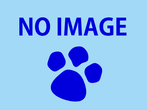 クリスマスおはなしかい